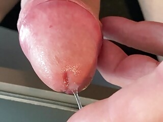 Playing with my precum Shemale Porn