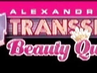 Busty TS Beauty Queens 3 Shemale Porn